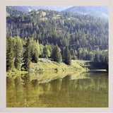 Reflections I-WILWAY109789 Framed Print 24"x24" by Willow Way Studios, Inc.