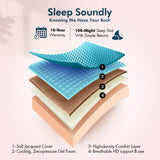 Renanim Adjustable Bed with 14" Mattress, Anti-Snore Preset, Dual Massage, USB Ports, App Control, Remote, Underbed Light