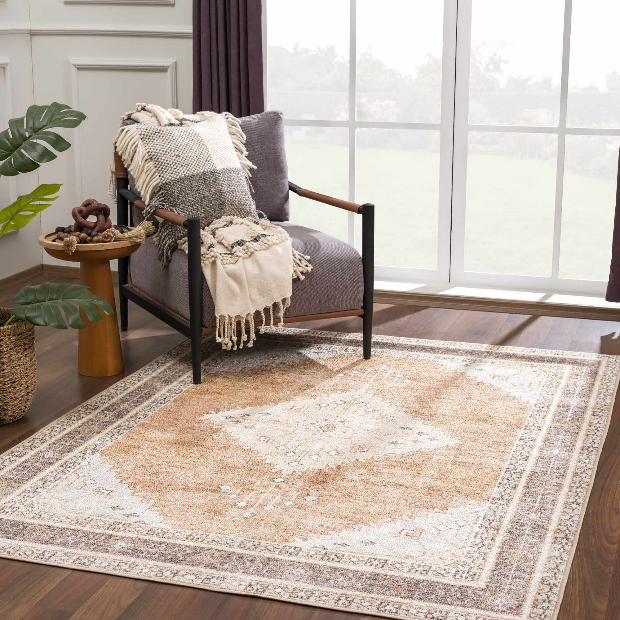 Vintage rug セール Alexander Home Isabelle Boho Vintage Distressed Printed Area