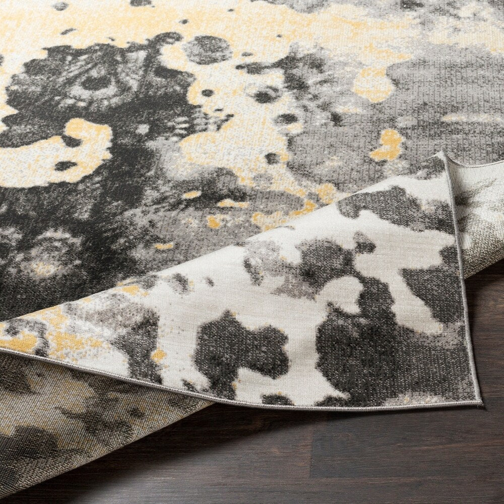 Rhea Grey Abstract Area Rug - 2' x 3'