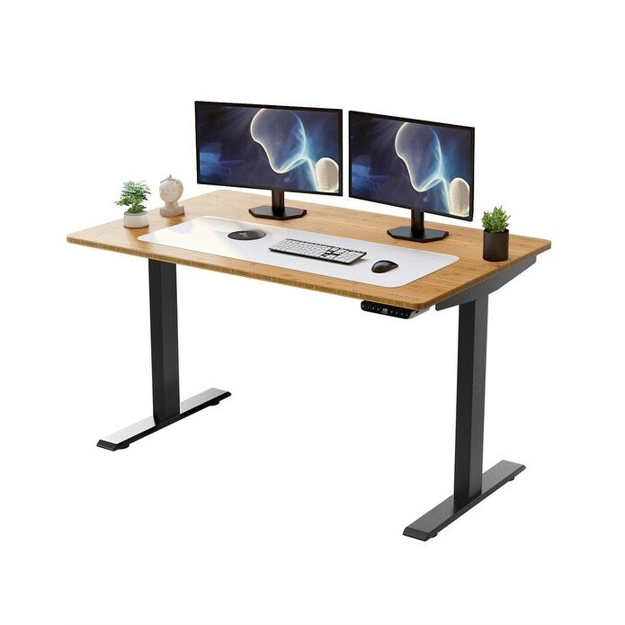 Rise Up Electric Standing Desk Dual Motor 60x30 solid bamboo desktop