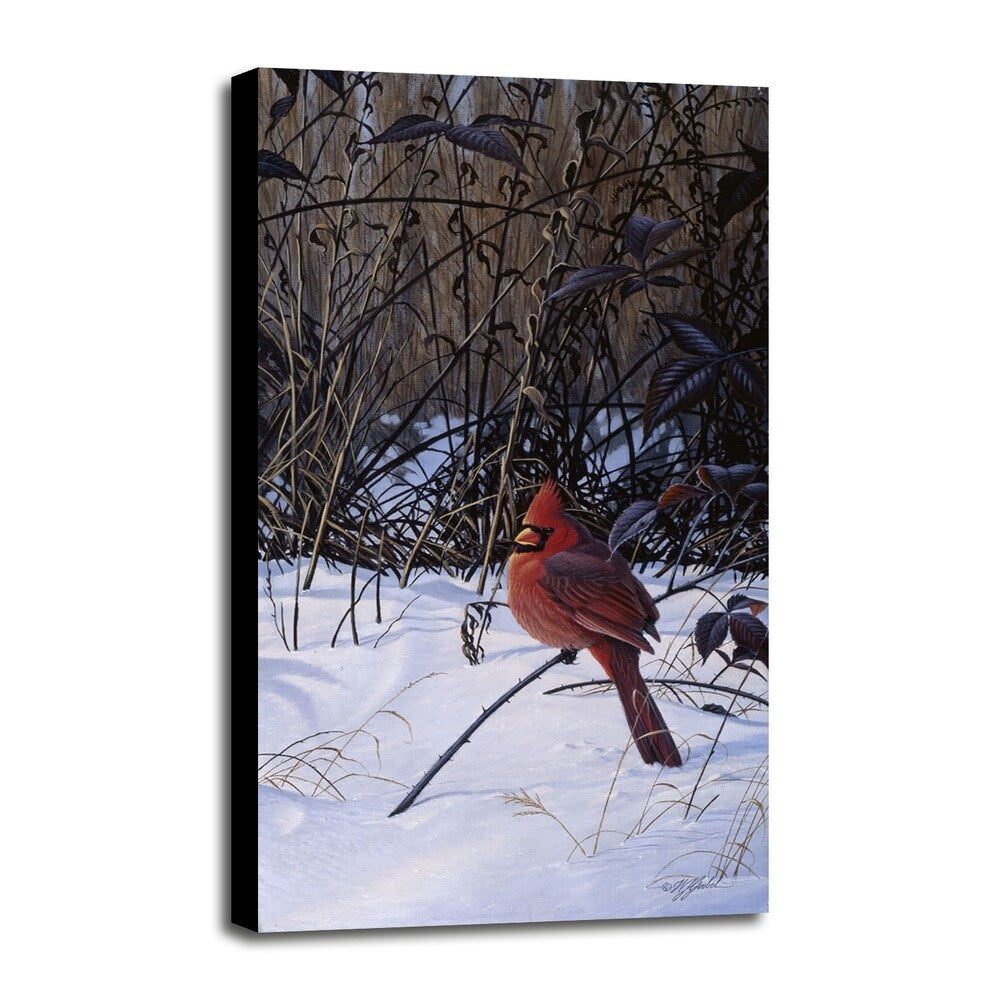 Roadside Cardinal-WILGOE52081 Framed Print 36"x19.5" by Wilhelm Goebel