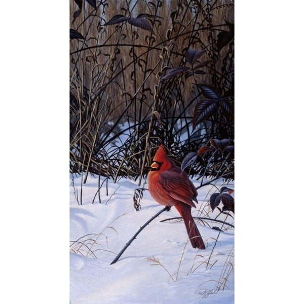Roadside Cardinal-WILGOE52081 Framed Print 36"x19.5" by Wilhelm Goebel
