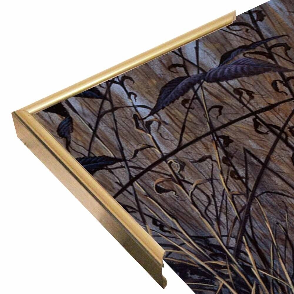 Roadside Cardinal-WILGOE52081 Framed Print 36"x19.5" by Wilhelm Goebel