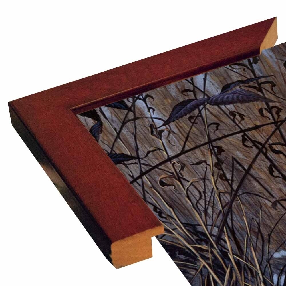 Roadside Cardinal-WILGOE52081 Framed Print 36"x19.5" by Wilhelm Goebel