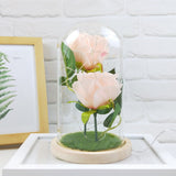 Romantic Immortal Flower Micro Landscape Rose Simulation Glass Shade Led Light
