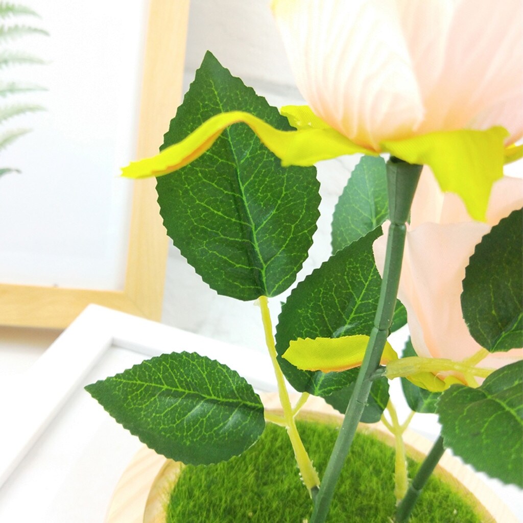 Romantic Immortal Flower Micro Landscape Rose Simulation Glass Shade Led Light