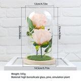 Romantic Immortal Flower Micro Landscape Rose Simulation Glass Shade Led Light