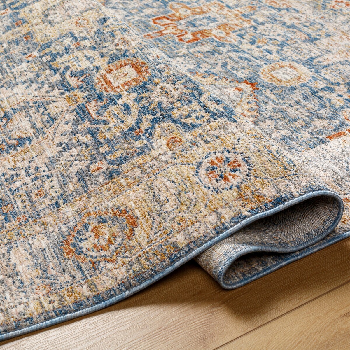 Romero Traditional Area Rug