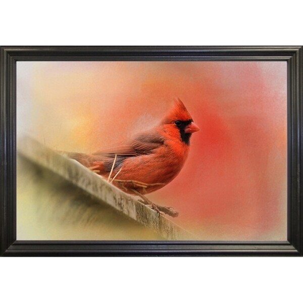 Rooftop Visitor Cardinal-JAIJOH140366 Print 13.25"x20" by Jai Johnson
