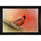 Rooftop Visitor Cardinal-JAIJOH140366 Print 13.25"x20" by Jai Johnson