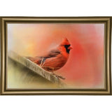 Rooftop Visitor Cardinal-JAIJOH140366 Print 13.25"x20" by Jai Johnson