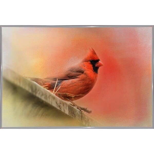 Rooftop Visitor Cardinal-JAIJOH140366 Print 13.25"x20" by Jai Johnson