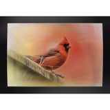 Rooftop Visitor Cardinal-JAIJOH140366 Print 13.25"x20" by Jai Johnson