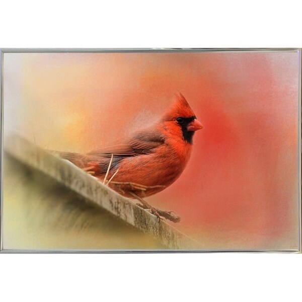 Rooftop Visitor Cardinal-JAIJOH140366 Print 13.25"x20" by Jai Johnson