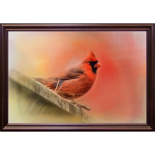 Rooftop Visitor Cardinal-JAIJOH140366 Print 13.25"x20" by Jai Johnson