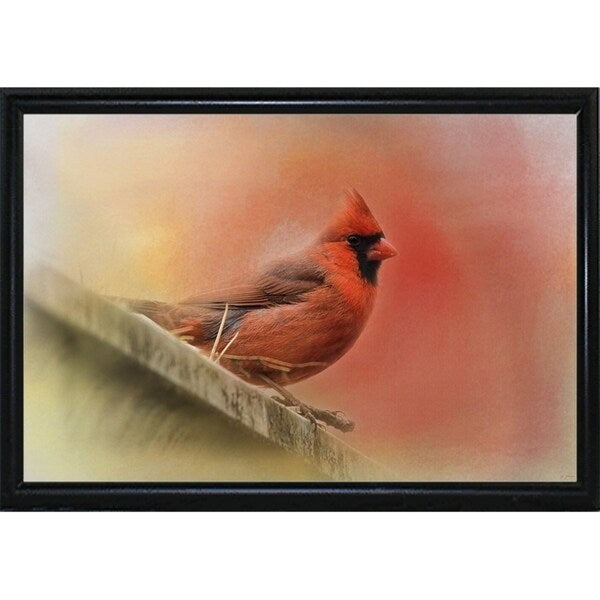 Rooftop Visitor Cardinal-JAIJOH140366 Print 13.25"x20" by Jai Johnson