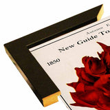 Rose Culture-VINAPP131541 Framed Print 20"x12.75" by Vintage Apple Collection