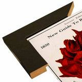 Rose Culture-VINAPP131541 Framed Print 20"x12.75" by Vintage Apple Collection