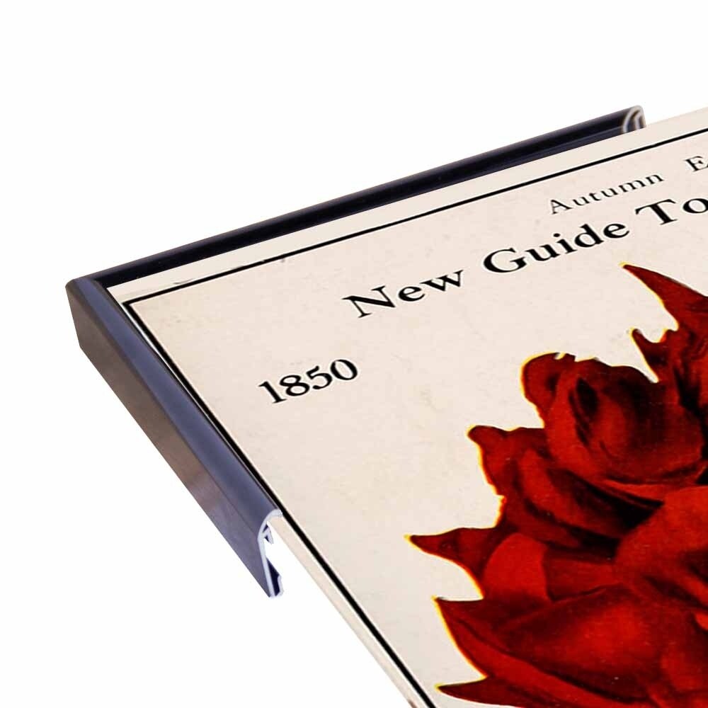Rose Culture-VINAPP131541 Framed Print 20"x12.75" by Vintage Apple Collection