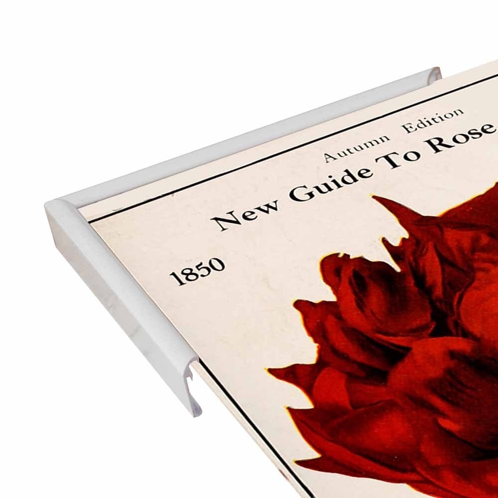 Rose Culture-VINAPP131541 Framed Print 20"x12.75" by Vintage Apple Collection