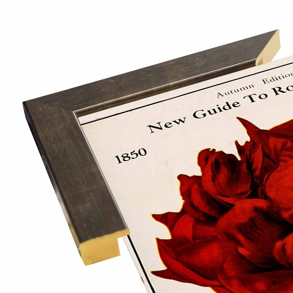 Rose Culture-VINAPP131541 Framed Print 20"x12.75" by Vintage Apple Collection