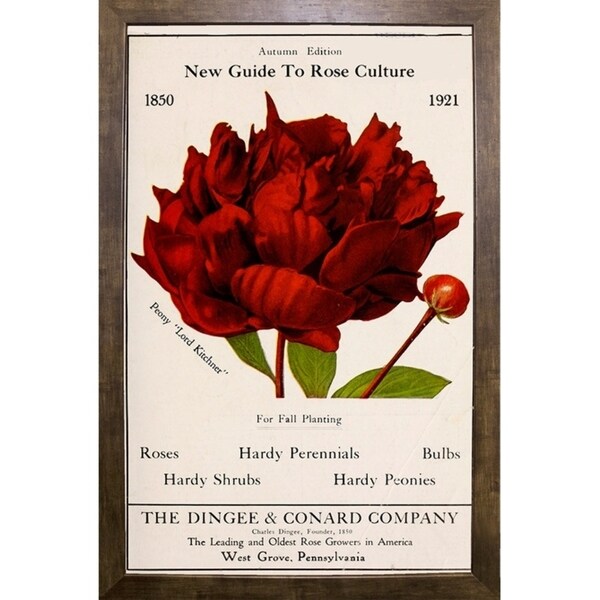 Rose Culture-VINAPP131541 Framed Print 20"x12.75" by Vintage Apple Collection