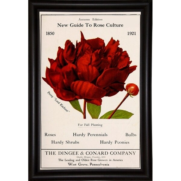 Rose Culture-VINAPP131541 Framed Print 20"x12.75" by Vintage Apple Collection