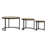 Rosher Modern Industrial Handcrafted Mango Wood Nested Tables (Set of 3) by Christopher Knight Home