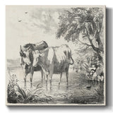Rural Charms II-Gallery Wrapped Canvas