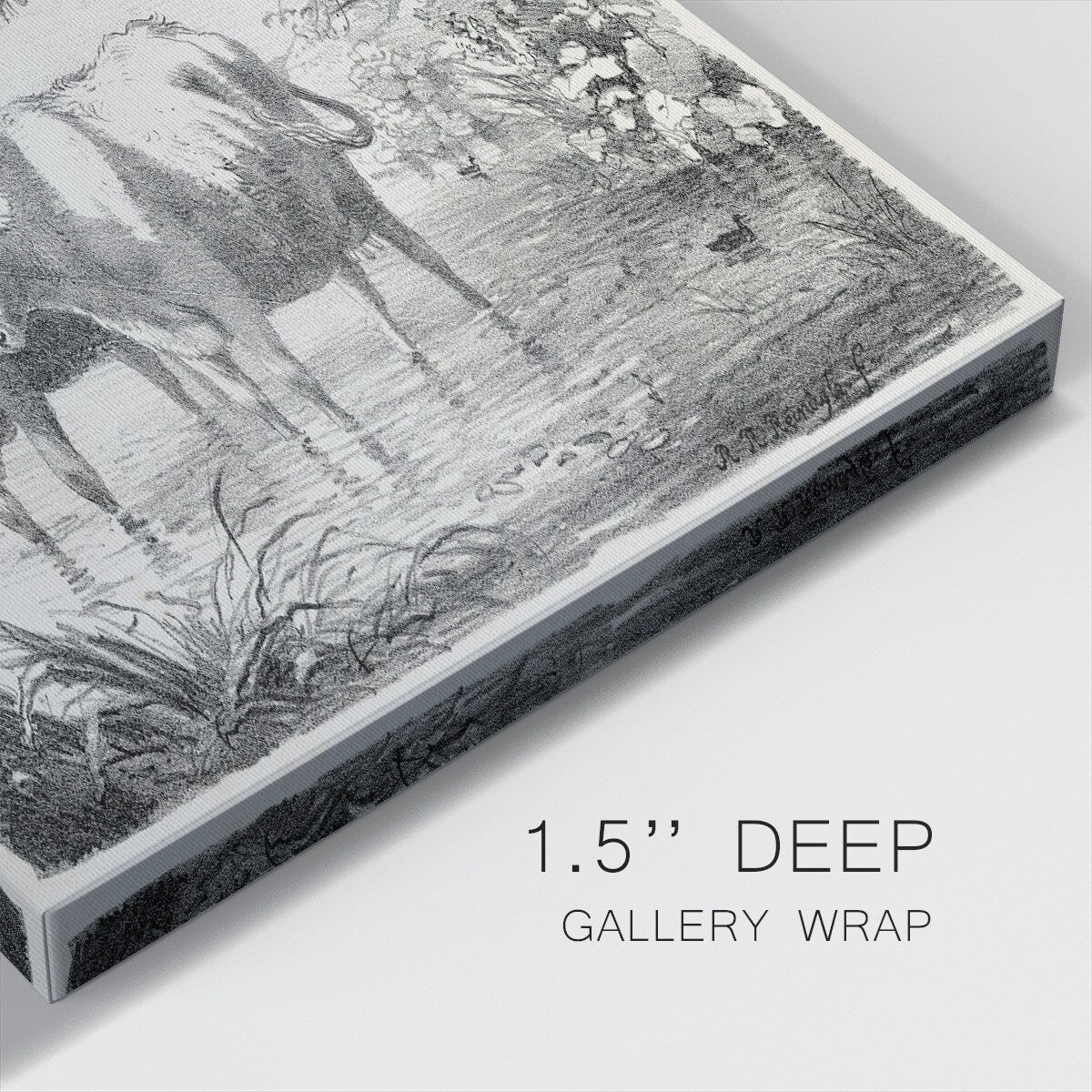 Rural Charms II-Gallery Wrapped Canvas