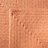 SAFAVIEH Handmade Braided Gisa Country Cotton Rug