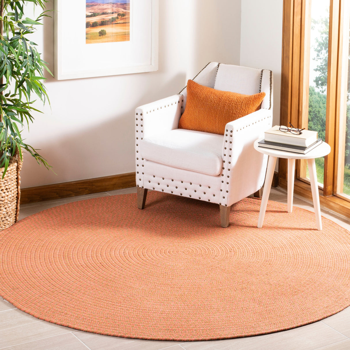 SAFAVIEH Handmade Braided Gisa Country Cotton Rug