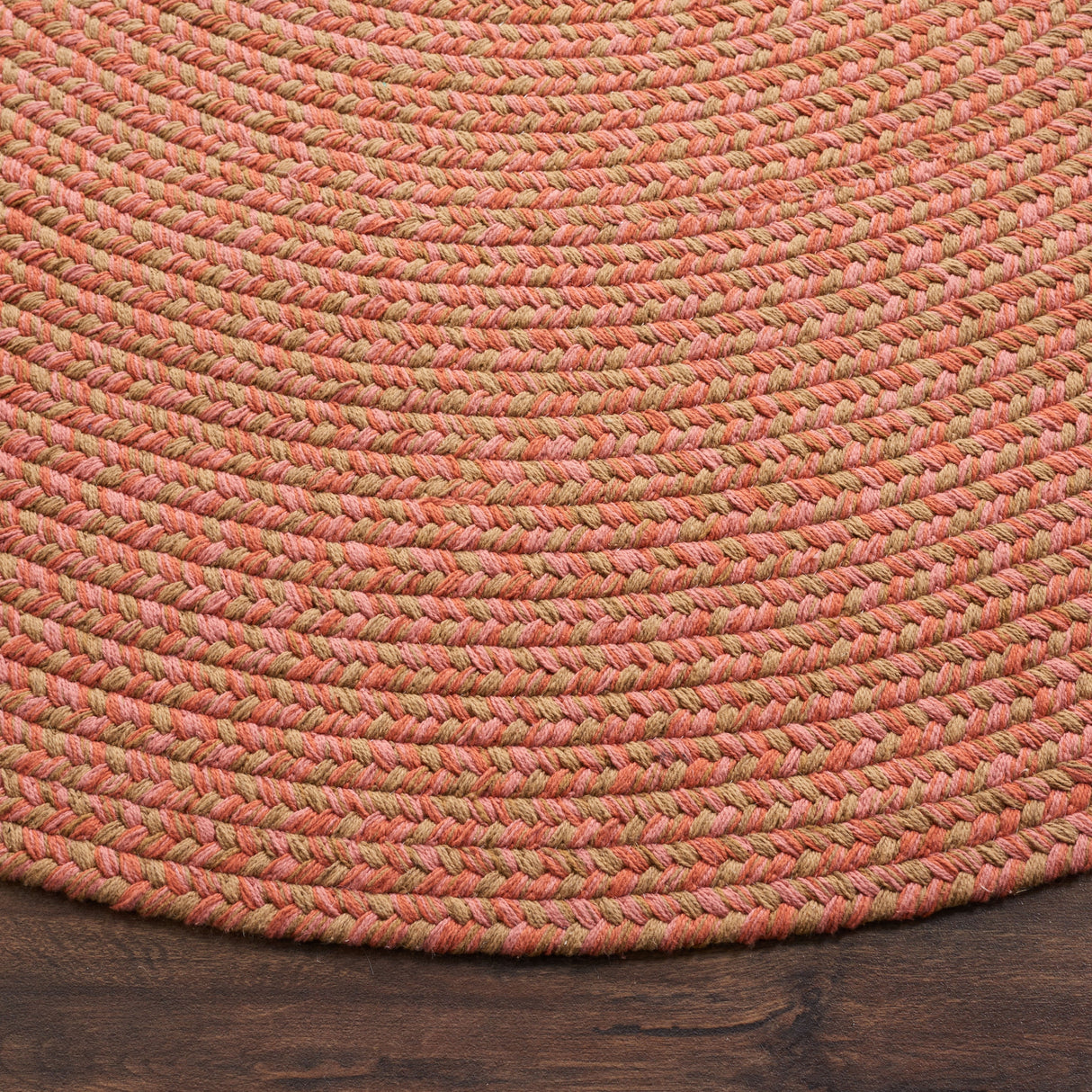 SAFAVIEH Handmade Braided Gisa Country Cotton Rug