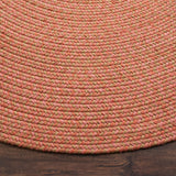 SAFAVIEH Handmade Braided Gisa Country Cotton Rug