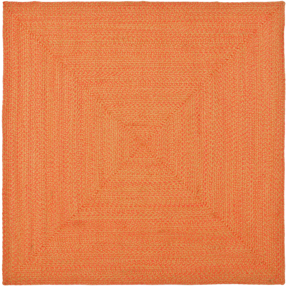 SAFAVIEH Handmade Braided Gisa Country Cotton Rug