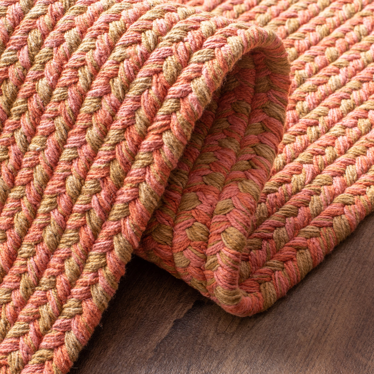 SAFAVIEH Handmade Braided Gisa Country Cotton Rug