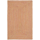 SAFAVIEH Handmade Braided Mariea Country Cotton Rug