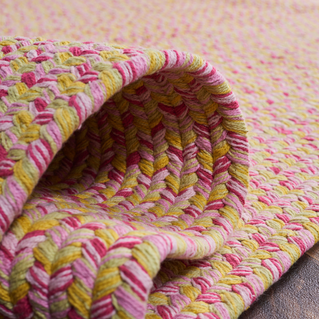 SAFAVIEH Handmade Braided Mariea Country Cotton Rug