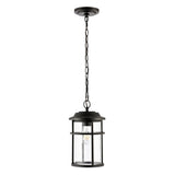 SAFAVIEH Lighting Venerina Outdoor Pendant - 8" W x 8" D x 18-90" H - 8Wx8Dx90H