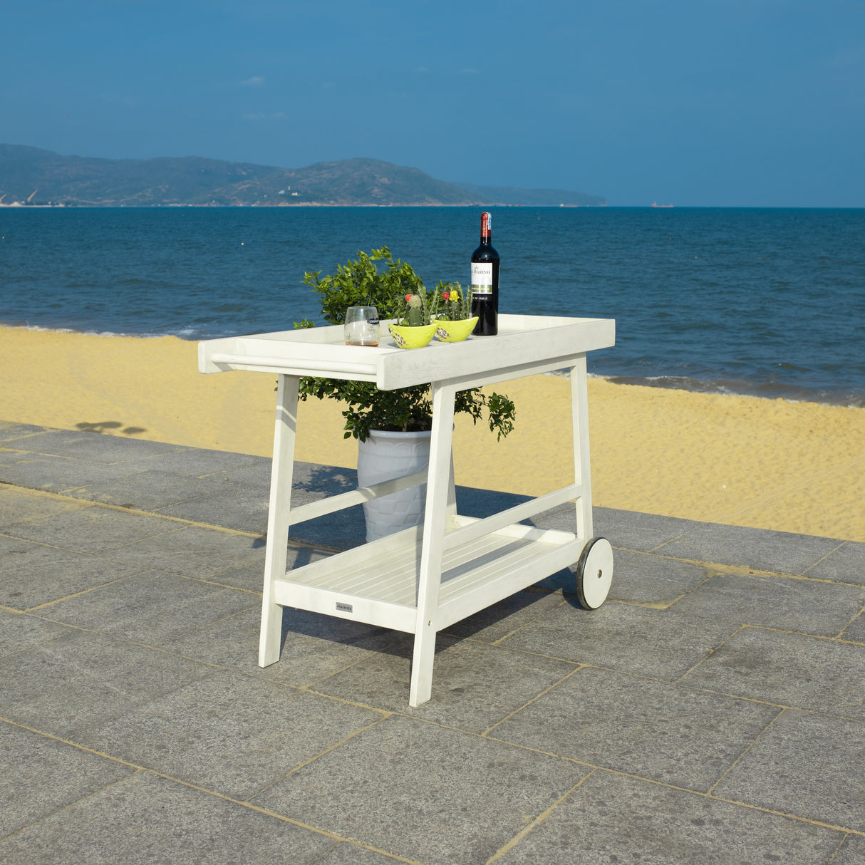 SAFAVIEH Outdoor Hayleigh Bar Cart - 48Wx20Dx32H