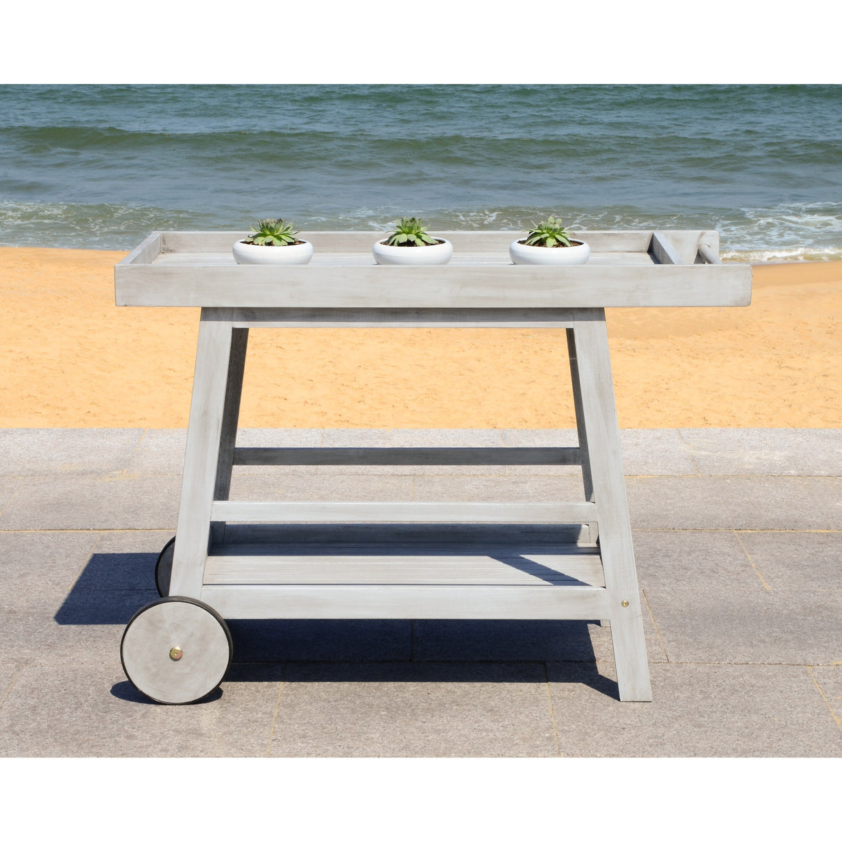 SAFAVIEH Outdoor Hayleigh Bar Cart - 48Wx20Dx32H