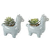 SET OF 2 Artificial Plant Succulent in 5.5" Llama Pot - ONE-SIZE