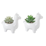 SET OF 2 Artificial Plant Succulent in 5.5" Llama Pot - ONE-SIZE