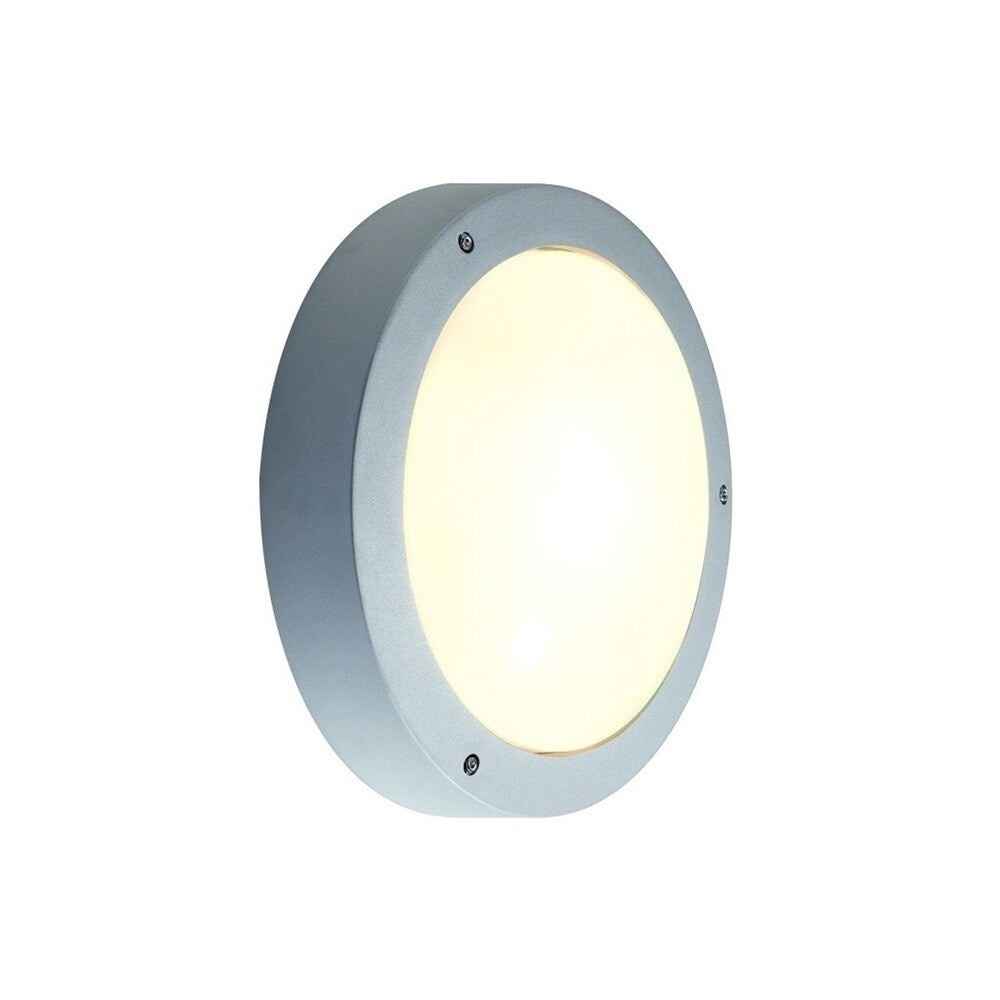 SLV Lighting Dragan Silver Outdoor Wall/ Ceiling Lamp