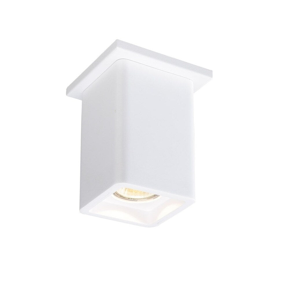 Plastra 1-Light Paintable Ceiling Lamp