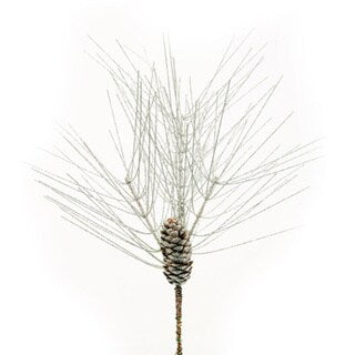 Sage & Co Sage & Co. Glitter Pine Pick (Pack of 24)