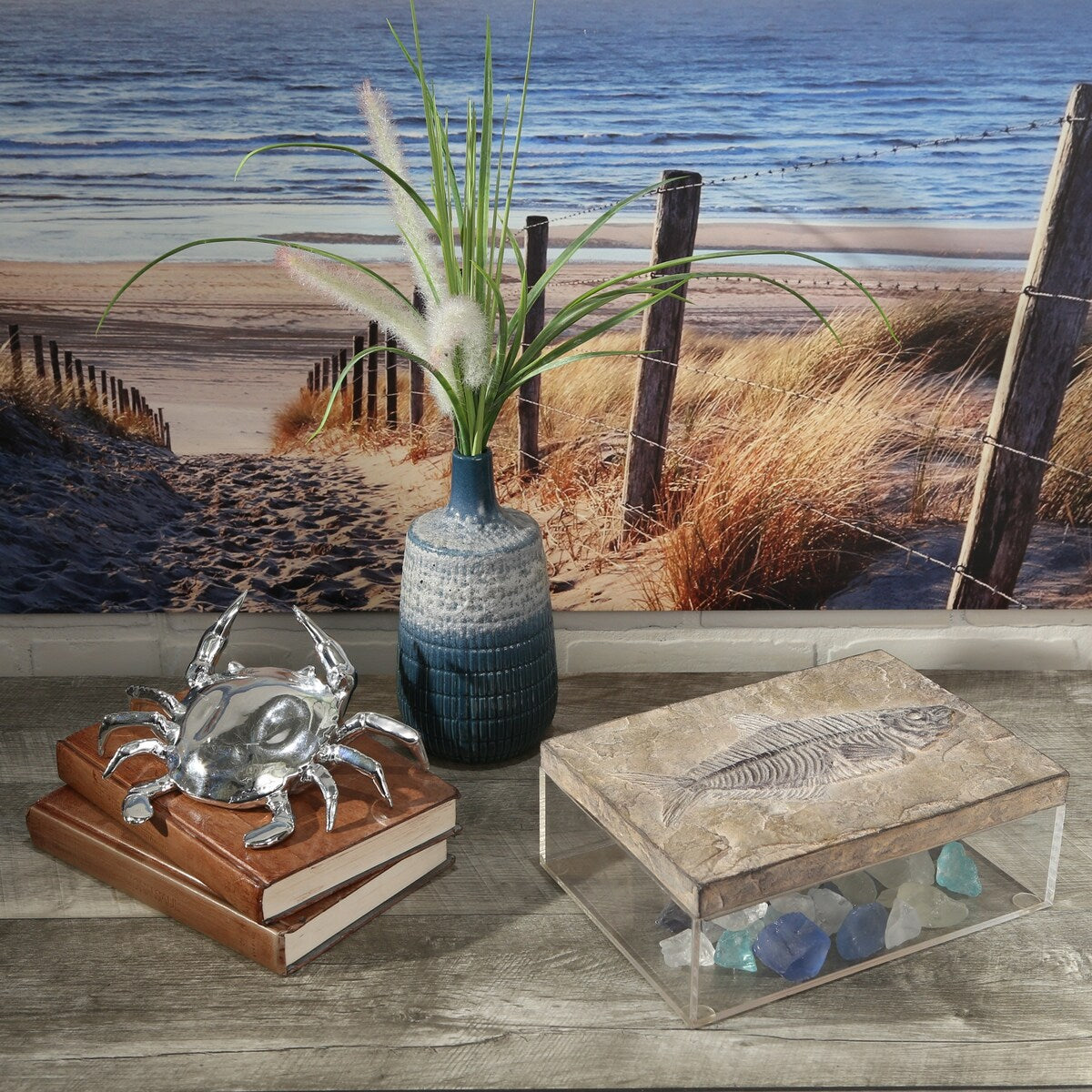 Sagebrook Home 12566-01 Polyresin Fossil With Acrylic Box, Stone Polyresin, 9.75 x 7 x 3.5 Inches