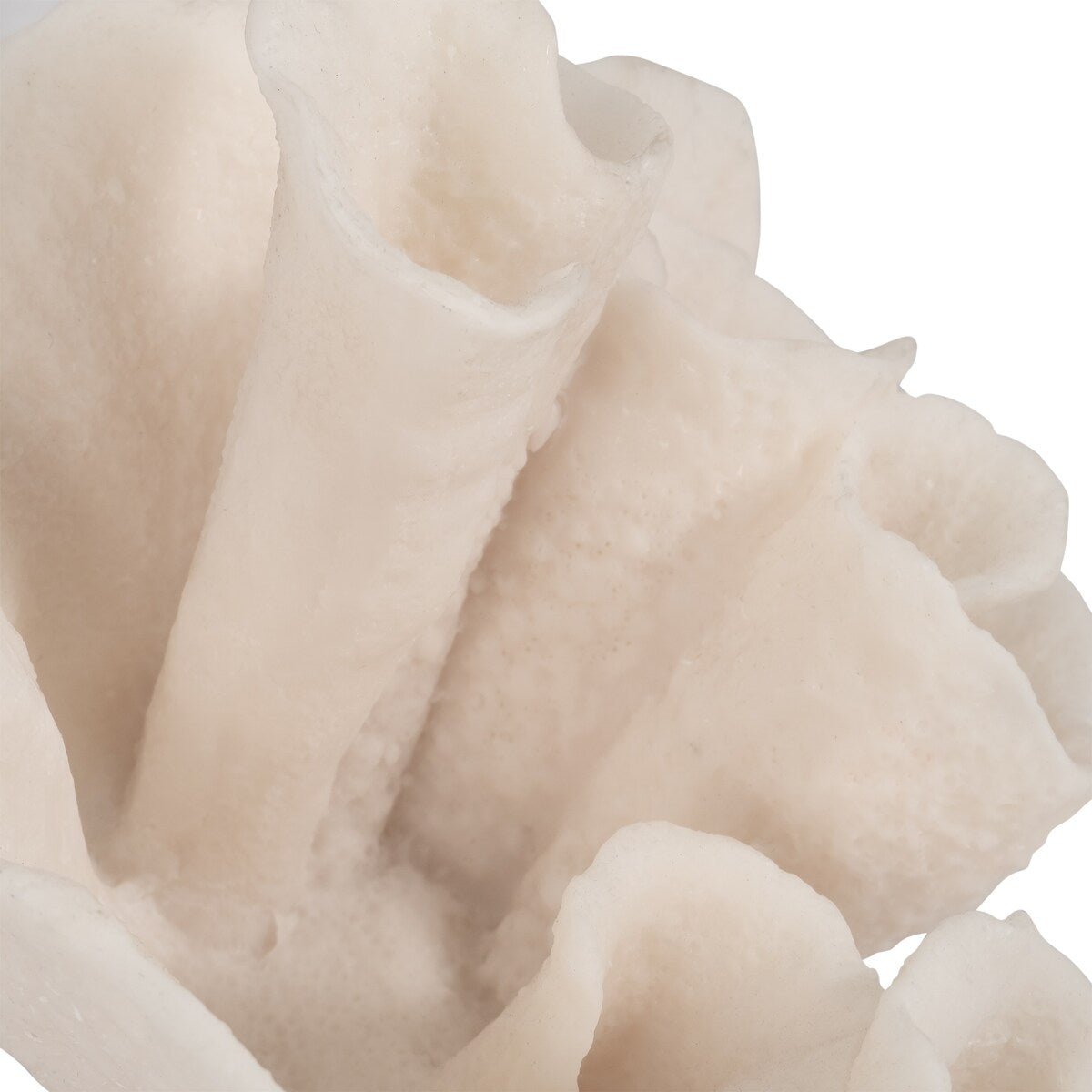 Sagebrook Home Coral Object, Ivory, Tranquil Waters