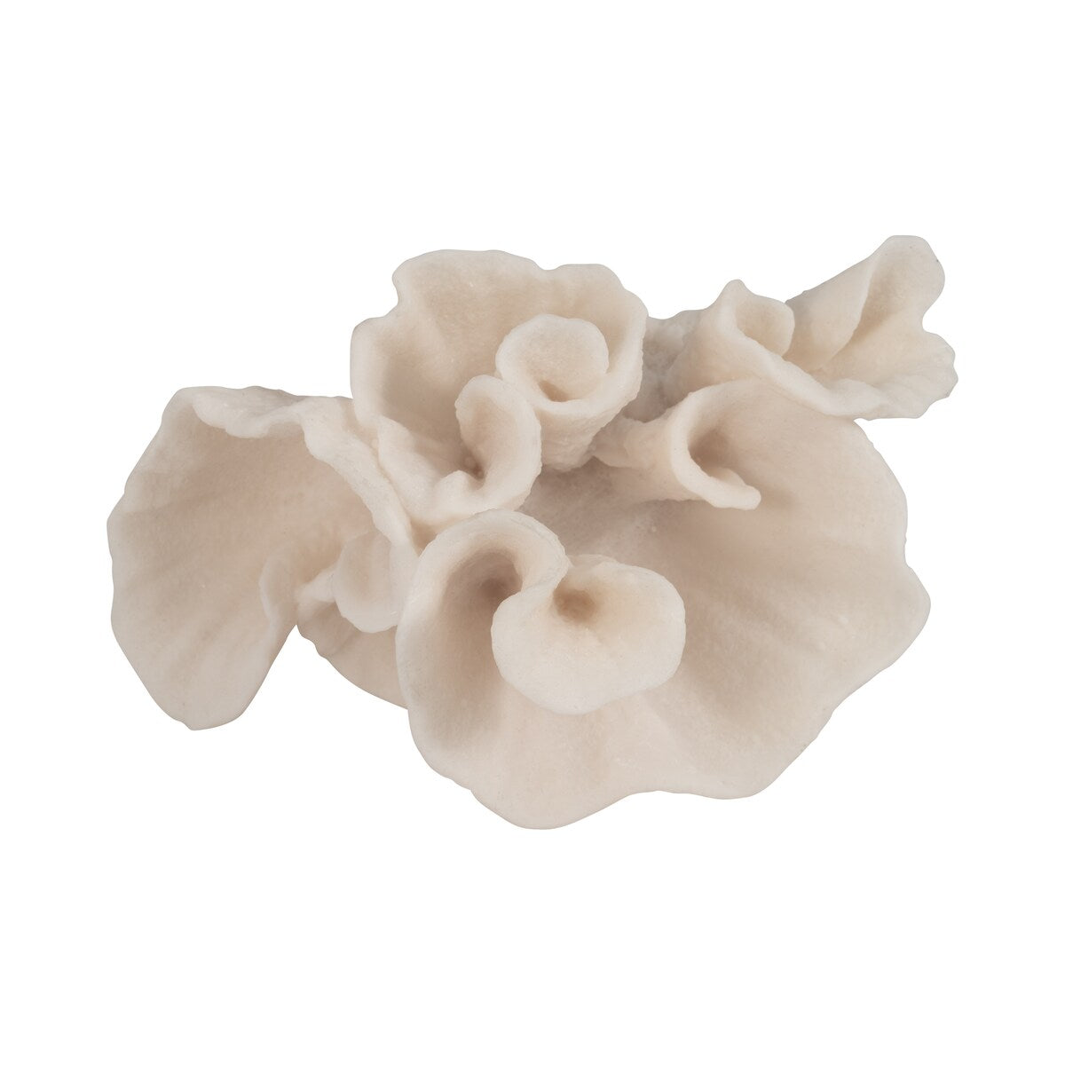 Sagebrook Home Coral Object, Ivory, Tranquil Waters